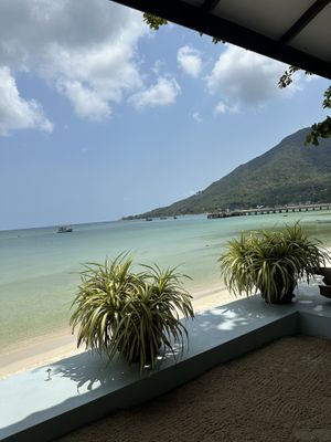   at Foods & Roots in Koh Phangan