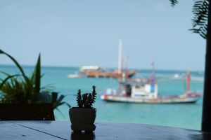View from seating area out back. at Foods & Roots in Koh Phangan