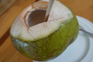 Coconut at Foods & Roots in Koh Phangan