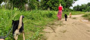 Morning walk at PhaNgan Animal Care for Strays in Koh Phangan