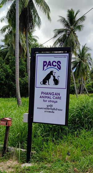 Signage at PhaNgan Animal Care for Strays in Koh Phangan