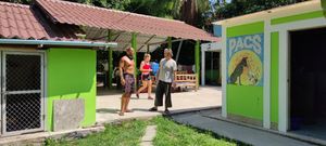 Visitors at PhaNgan Animal Care for Strays in Koh Phangan