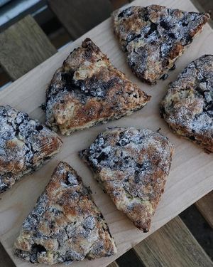 Blueberry scone at The Tipsy Muse Café in Fredericton