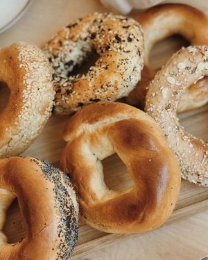 Bagels at The Tipsy Muse Café in Fredericton