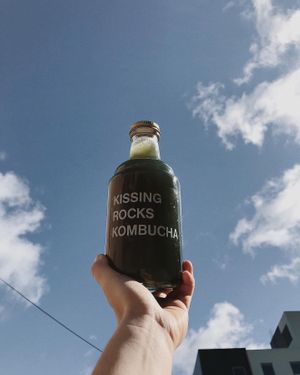 Local kombucha  at The Tipsy Muse Café in Fredericton