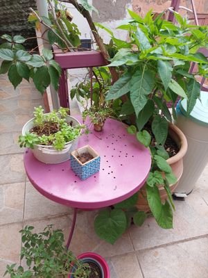  at Little Big House in Thessaloniki