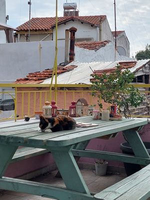  at Little Big House in Thessaloniki