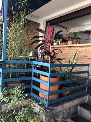 Terraza muy bonita. at Choclo y Maíz Cocina Vegana in Guadalajara