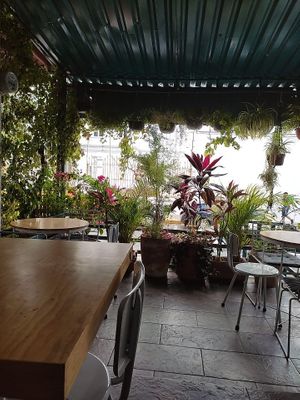 Terraza at Choclo y Maíz Cocina Vegana in Guadalajara