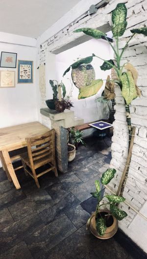 Nice ambience at Choclo y Maíz Cocina Vegana in Guadalajara