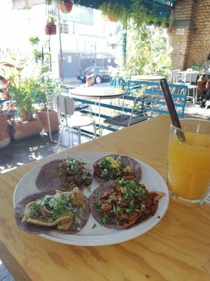  at Choclo y Maíz Cocina Vegana in Guadalajara