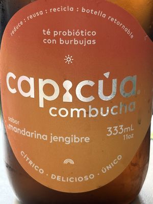 Local ginger tangerine kombucha  at Choclo y Maíz Cocina Vegana in Guadalajara