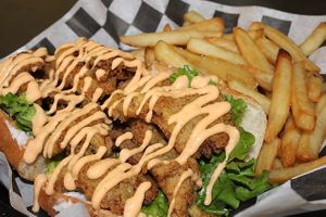 The EVE  at Go Vegan Philly in Wilmington