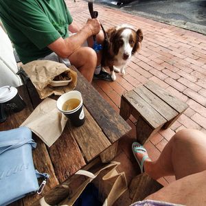Outdoor seating, 'dog friendly ' at Byron Corner Store in Byron Bay