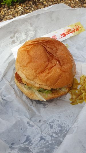 Chippy-T burger (photo doesn't do it justice) at Okra in Shrewsbury