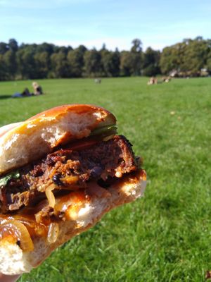 The classic bean burger in the park, was perfect! at Okra in Shrewsbury