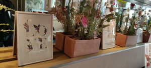 Déco at Mây Bay in Vincennes