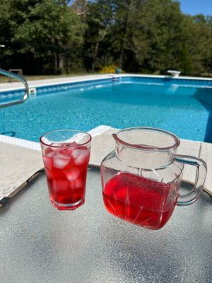 Sip a glass of our home made hibiscus tea, made from our own hibiscus plants. at Nickeys' Nest in Paris