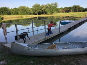 Looking for frogs on our pond/lake with the help of Taylor, one of our rescue dogs and Morris our yellow tabby checking out our canoe. at Nickeys' Nest in Paris