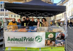 Kuchen für die Welt-Stand meistens am 1. Samstag im Monat von Februar bis November auf der Marktstätte Konstanz  at Animal Pride e. V. in Reichenau