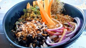 A large bowl with brown rice, carrots, alfalfa sprouts, black beans, red onion, green onion, avocado, sunflower seeds, toasted coconut, and sesame-ginger sauce at 101 West Bev in Staunton
