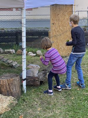 Some cute but prisoned rabbits  at Gasthof Zur Sägemühle in Hiltpoltstein