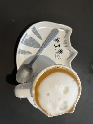   at Gran Tirano in Valparaiso