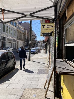 The cat!  at Gran Tirano in Valparaiso