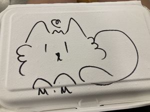 To go box (a little huge for my one item, but cardbord and with my own personal cat drawing)  at Gran Tirano in Valparaiso