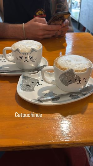 Soy capuchino   at Gran Tirano in Valparaiso