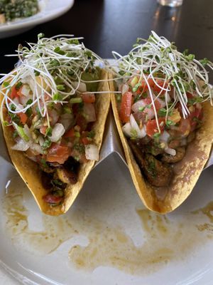 Mushroom tacos  at Giving Tree Cafe in Phoenix