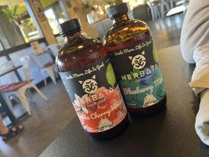 Kombuchas   at Giving Tree Cafe in Phoenix