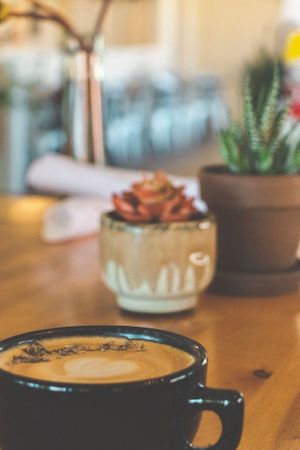Lavender latte with house made oat milk and high quality espresso from Cat and Cloud Roasters.  at Giving Tree Cafe in Phoenix