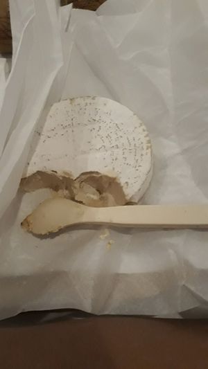 Camembert Cheese at TreeNut Cheezery in Ubud