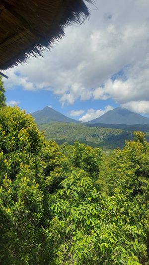   at Eco Cafe 2 in Banjar