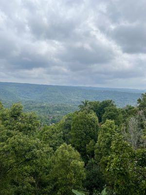  View 💚  at Eco Cafe 2 in Banjar