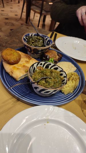Starter at Africa Experience in Venice