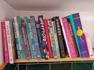 Bookshelf at Green Olive in Menai Bridge