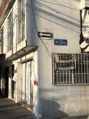  at El Veganito Mixe in San Luis Potosi