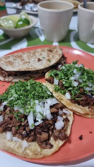 tacos y gringa de bistec at El Veganito Mixe in San Luis Potosi