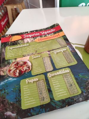 Front page of his menu at El Veganito Mixe in San Luis Potosi