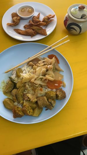 Rice with 2 sorts of mixed veggies and veg rice sausage + wonton at Green Jades Vegan in Chiang Mai