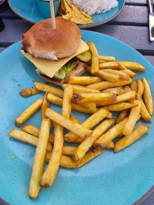 Simplicity meat free burger. at The Borough Arms in Bodmin