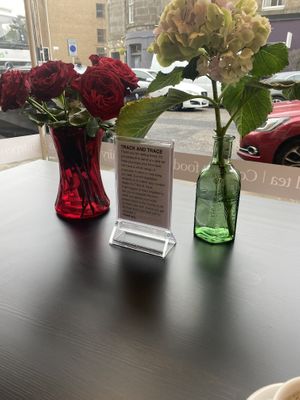 Nice at The Wonder Spot in Edinburgh