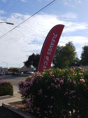Sign at 7 Leaves Cafe - Saratoga Ave in San Jose