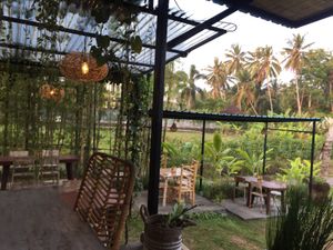 garden  at Se'Hari Warung in Ubud
