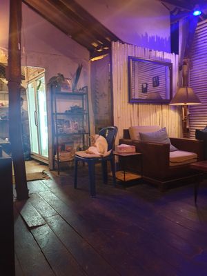  at Street Vegan House in Koh Phangan