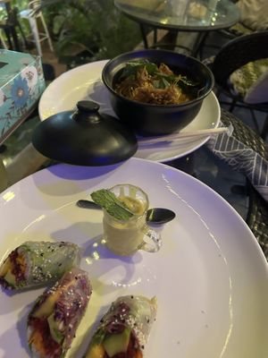 Chaing mai curry and fresh rolls  at Street Vegan House in Koh Phangan