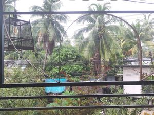  at Street Vegan House in Koh Phangan