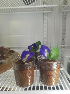 Avocado Choc. mousse  at Street Vegan House in Koh Phangan